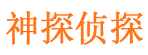 黎川侦探